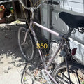 Mongoose Bike Ready for New Home