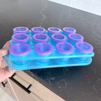 12-Piece Reusable Popsicle Mold Set with Storage Tray